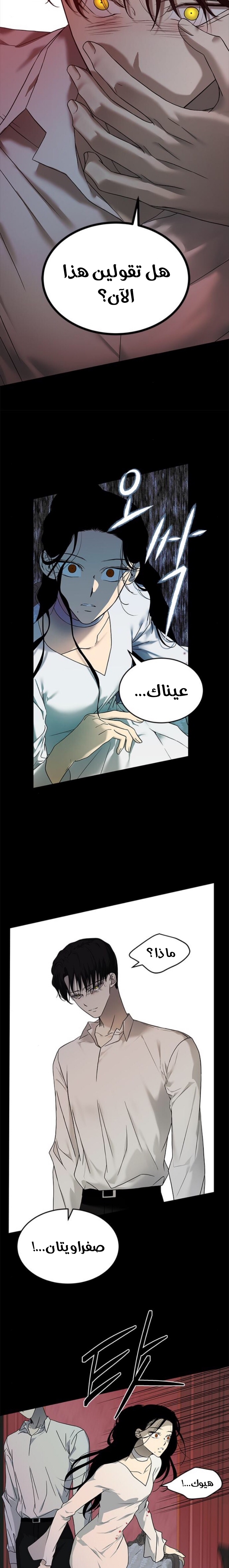 الصفحة 18