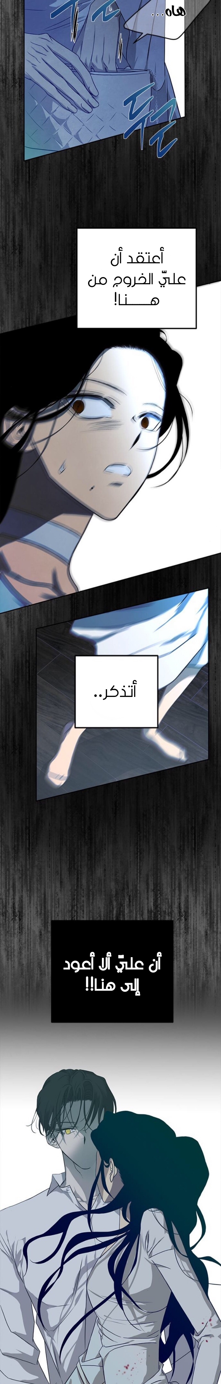 الصفحة 26