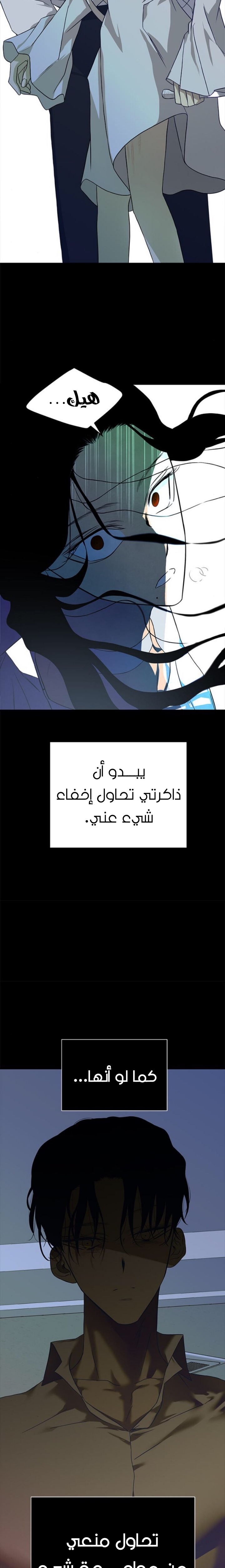 الصفحة 27