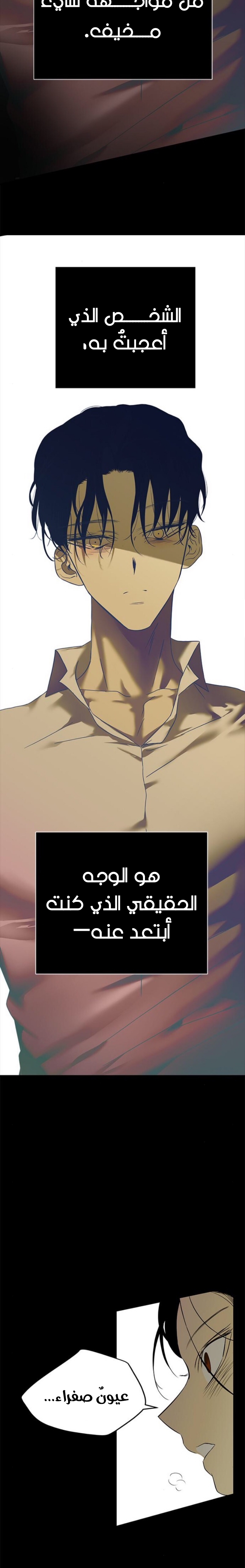 الصفحة 28