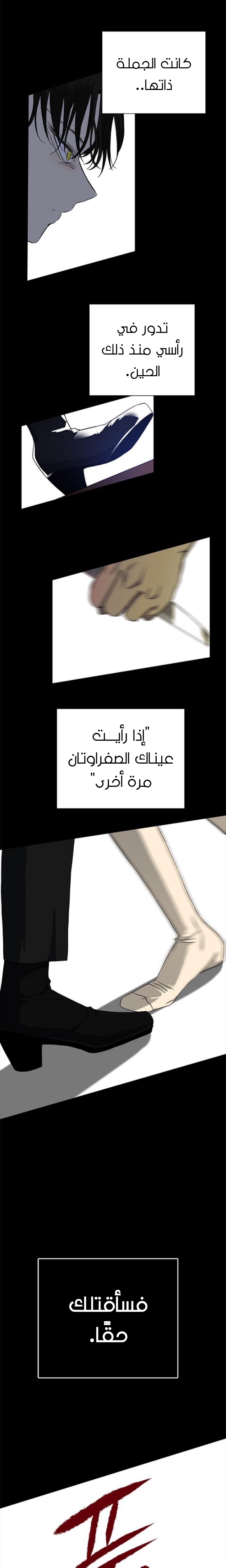 الصفحة 29