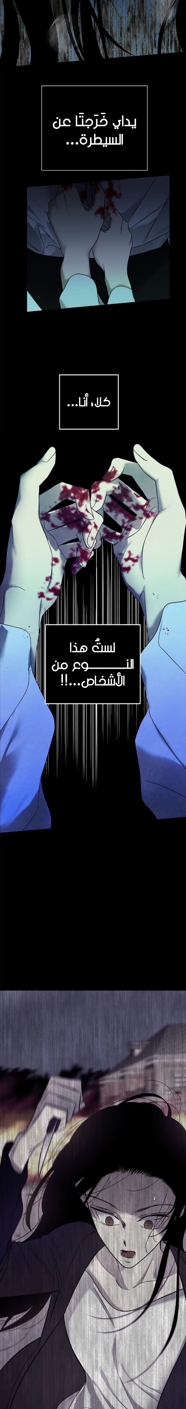الصفحة 31