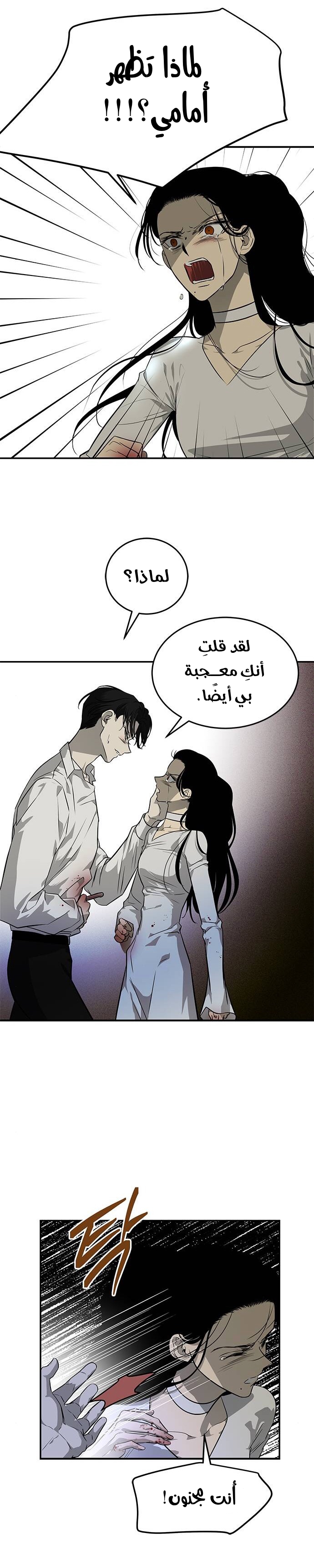الصفحة 17
