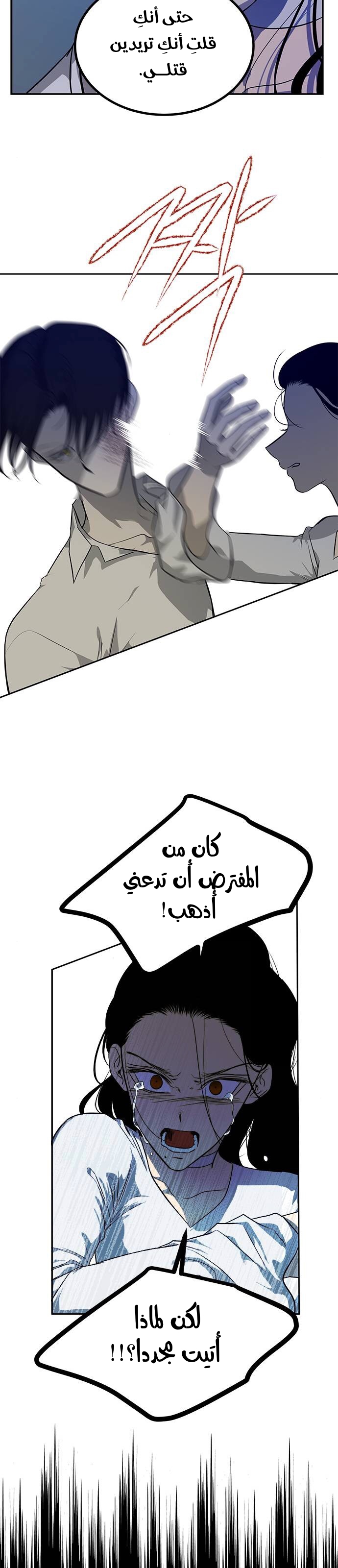الصفحة 19