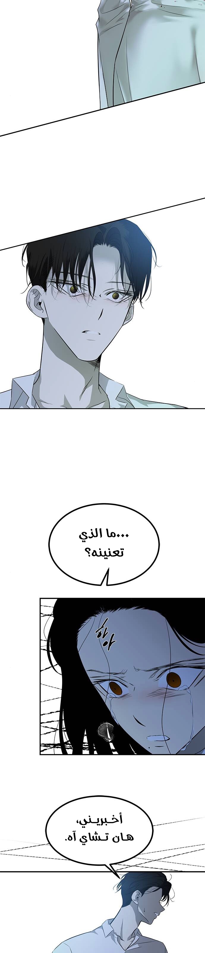 الصفحة 25