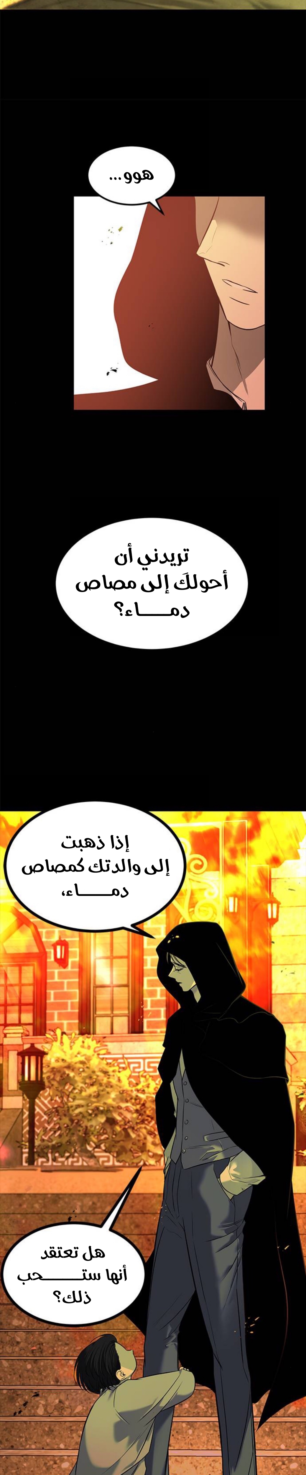 الصفحة 26