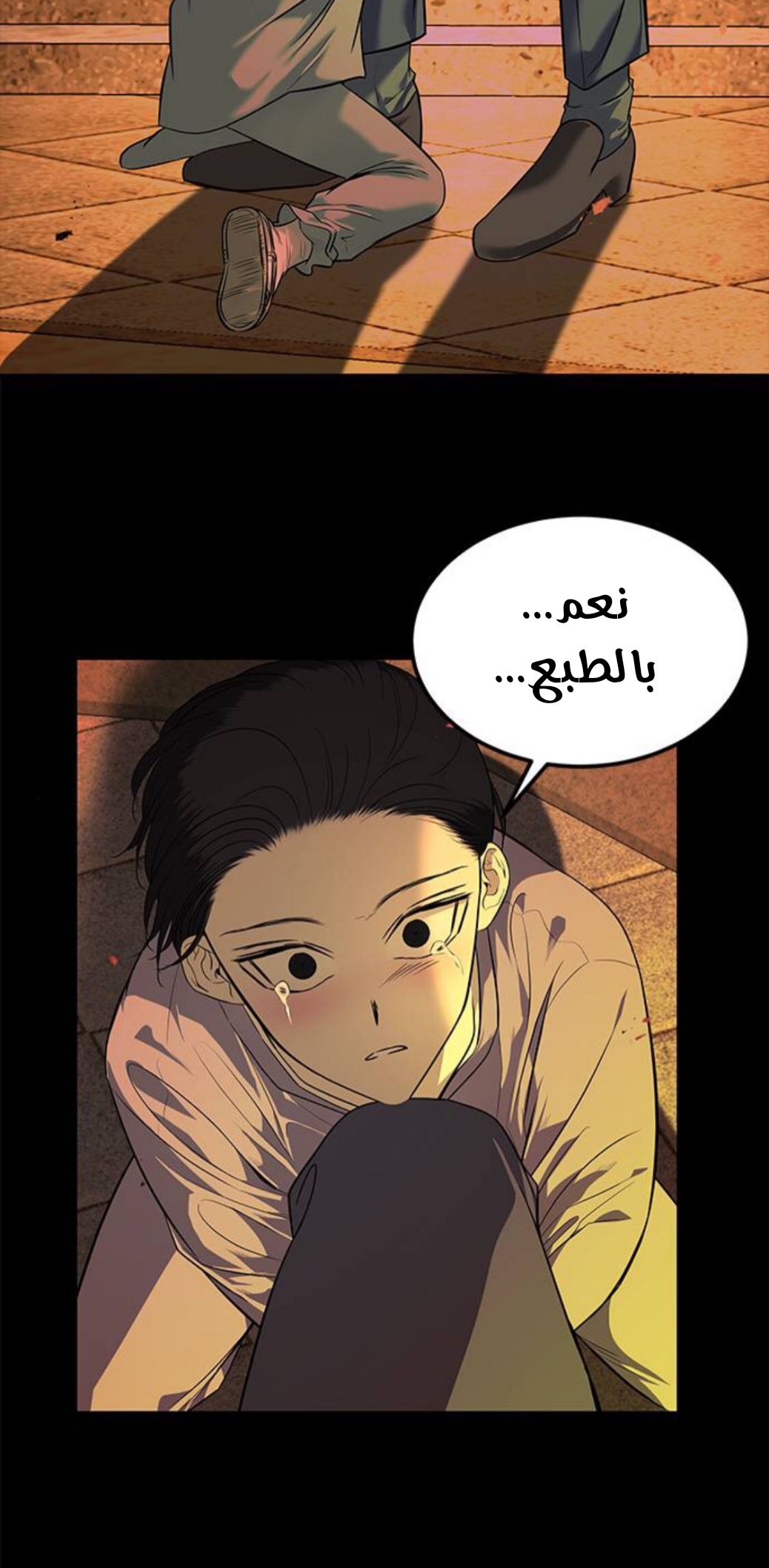 الصفحة 27