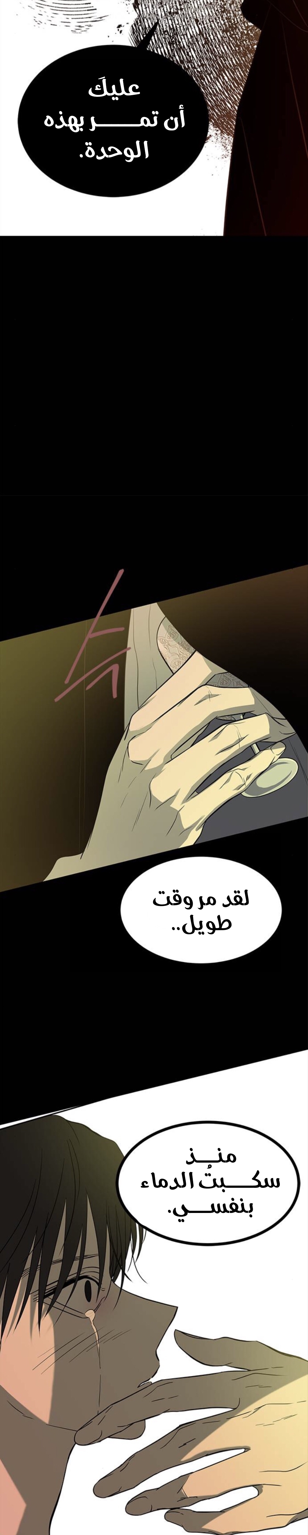 الصفحة 29