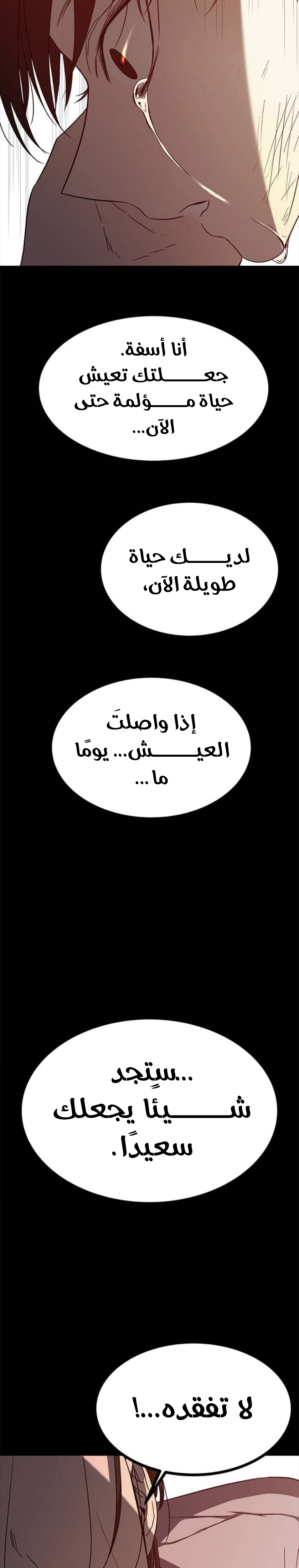 الصفحة 41