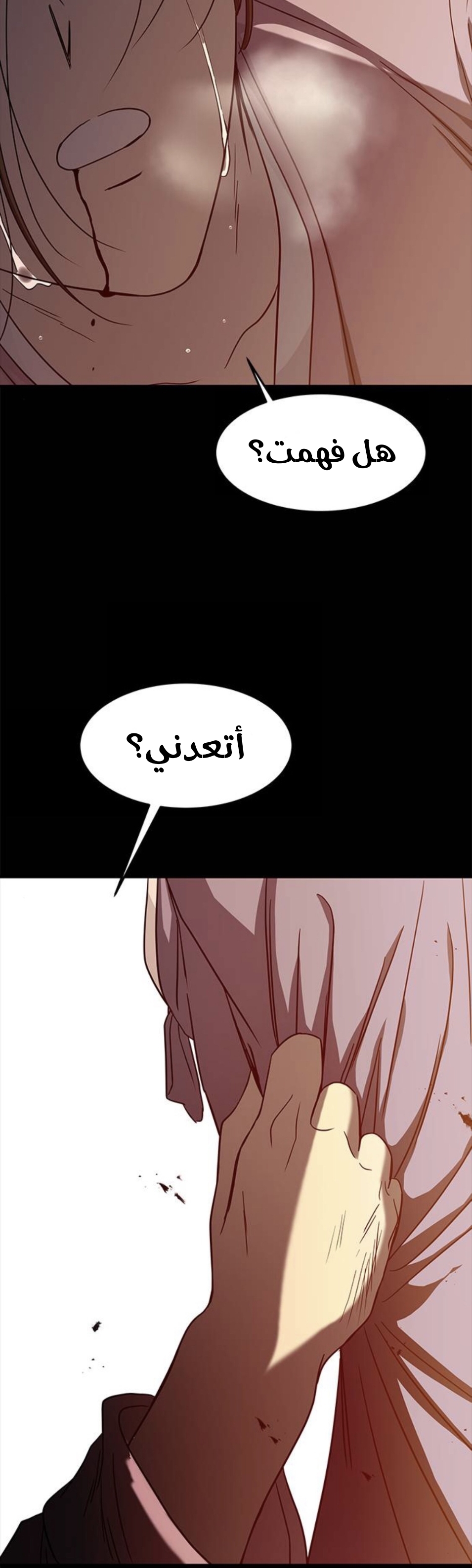 الصفحة 42