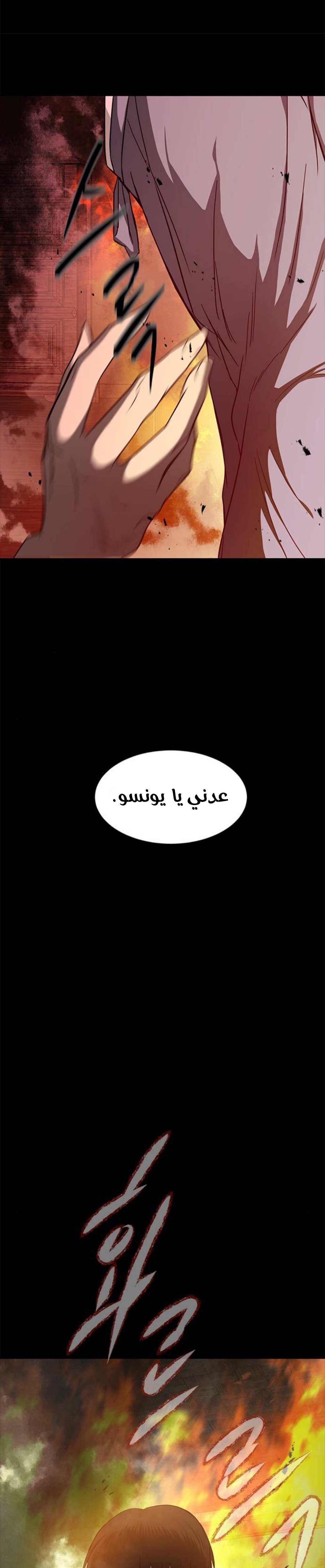 الصفحة 43