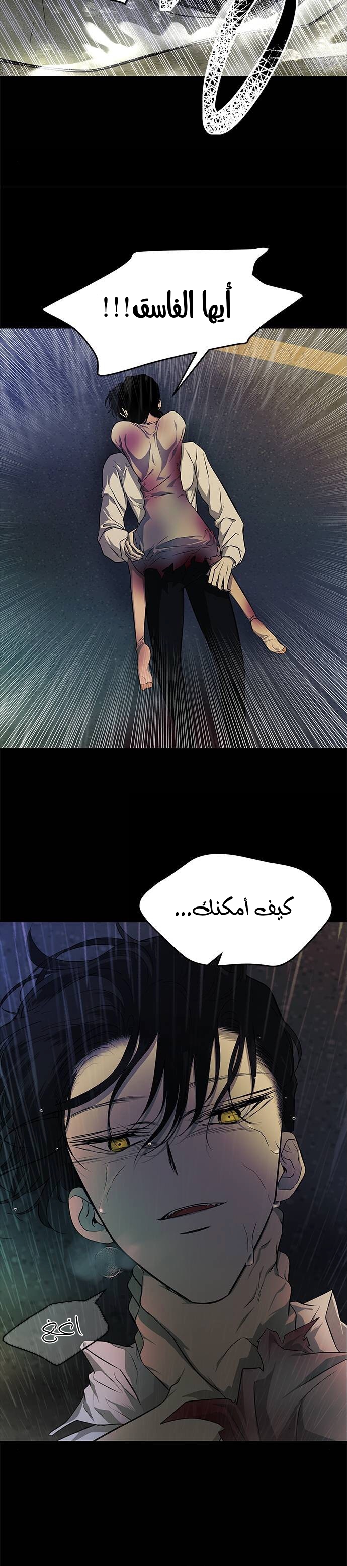 الصفحة 25