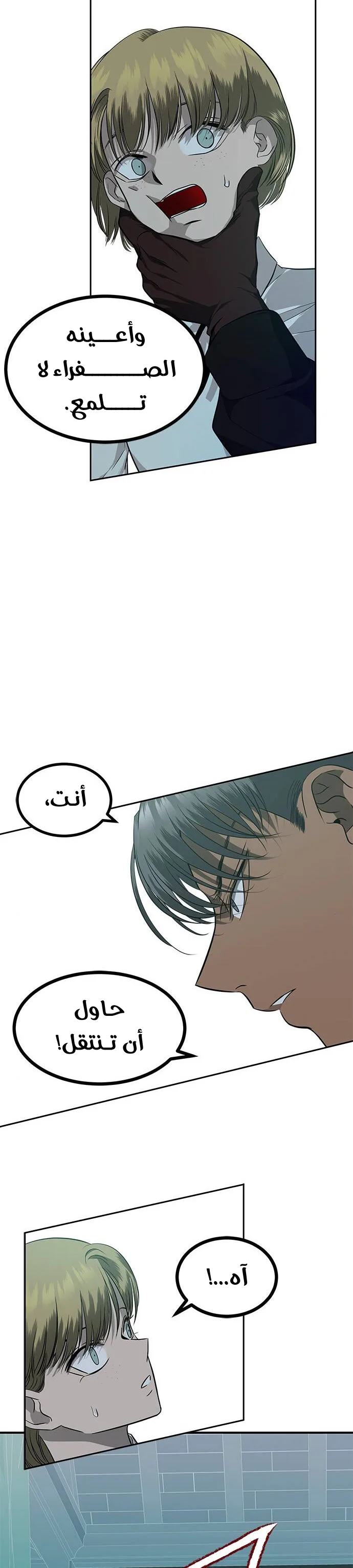 الصفحة 22