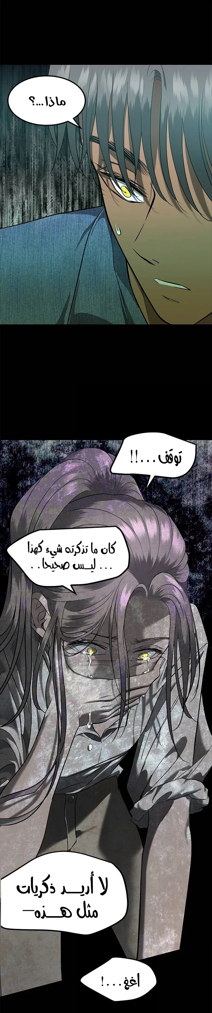 الصفحة 27