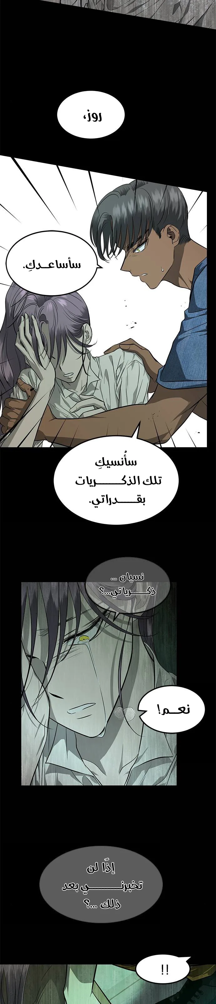 الصفحة 29