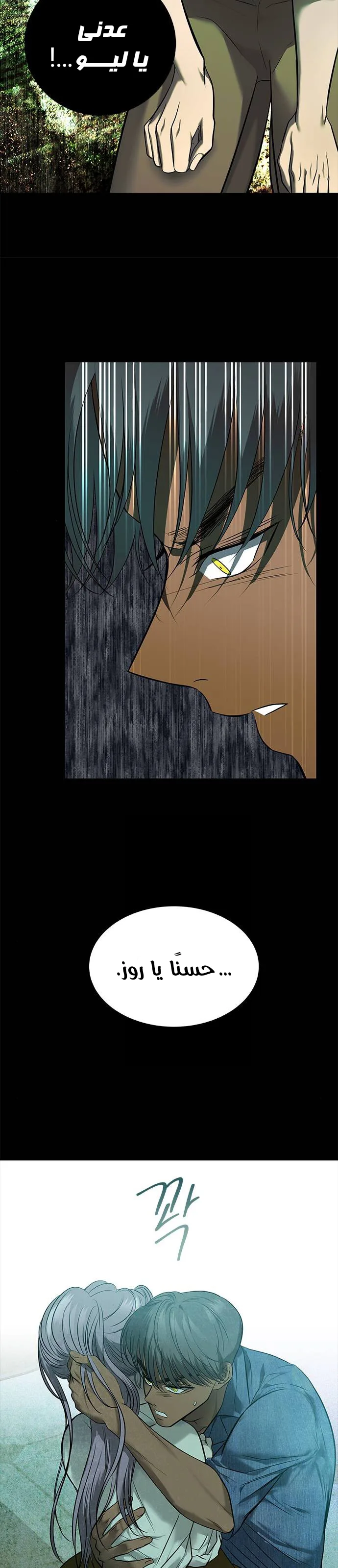 الصفحة 31