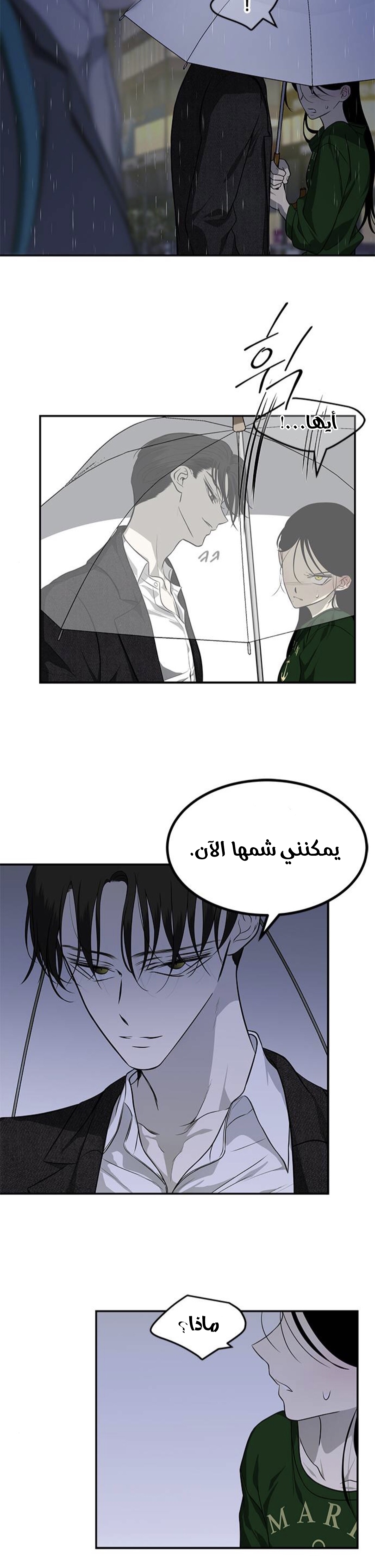 الصفحة 13