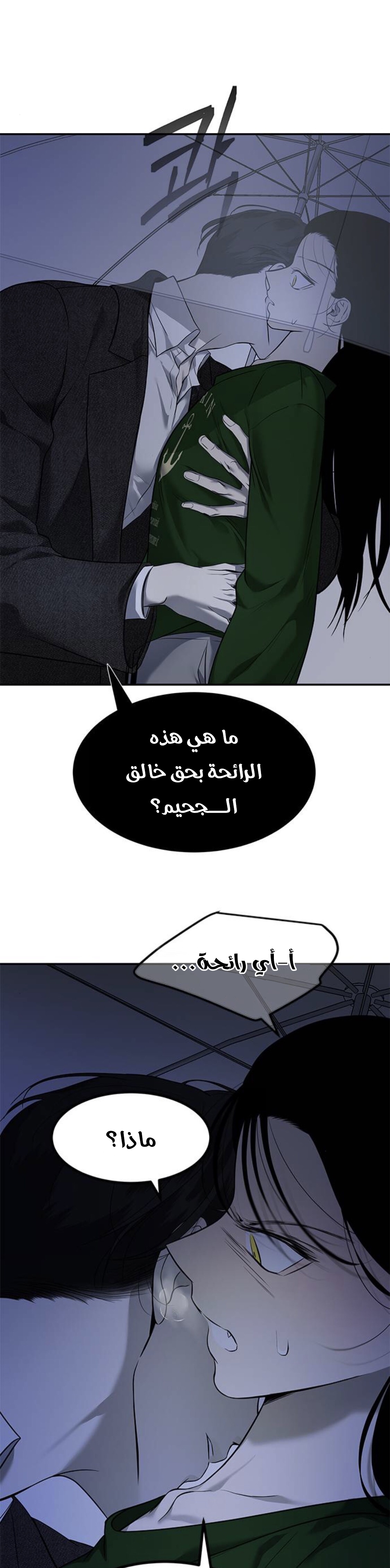 الصفحة 14