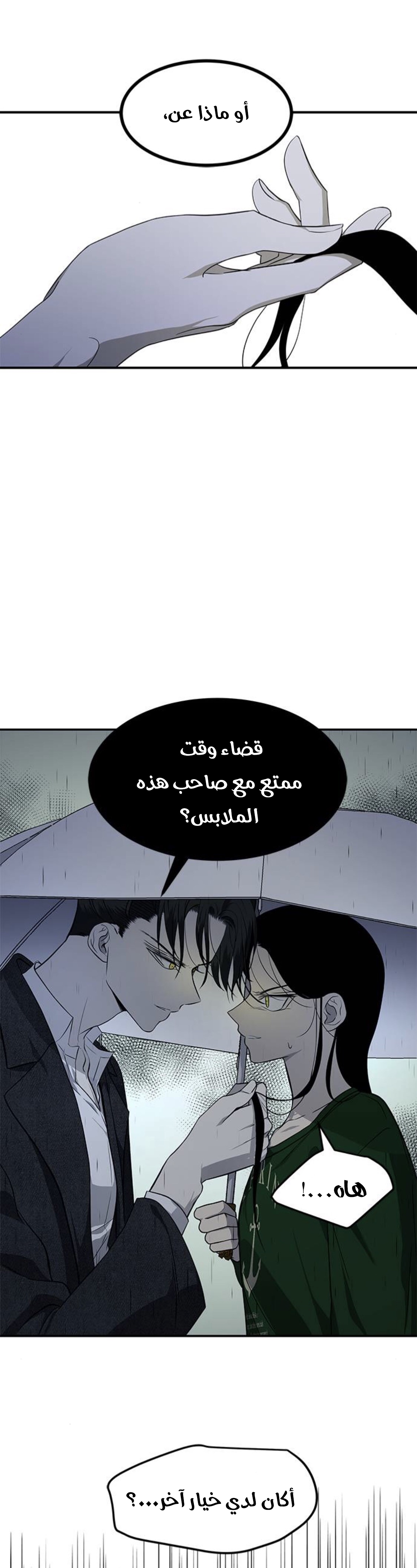 الصفحة 22