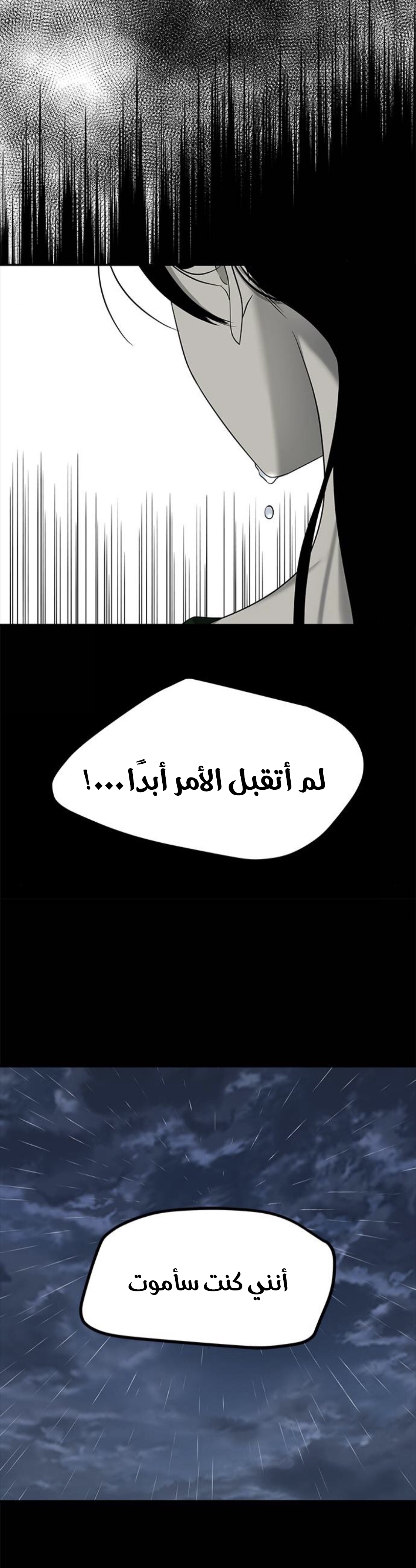 الصفحة 25