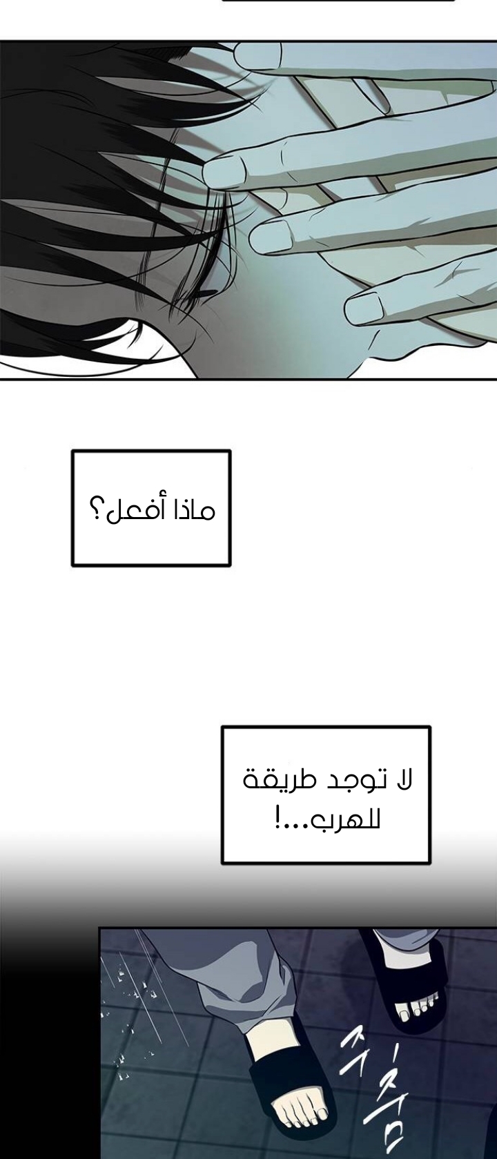 الصفحة 19