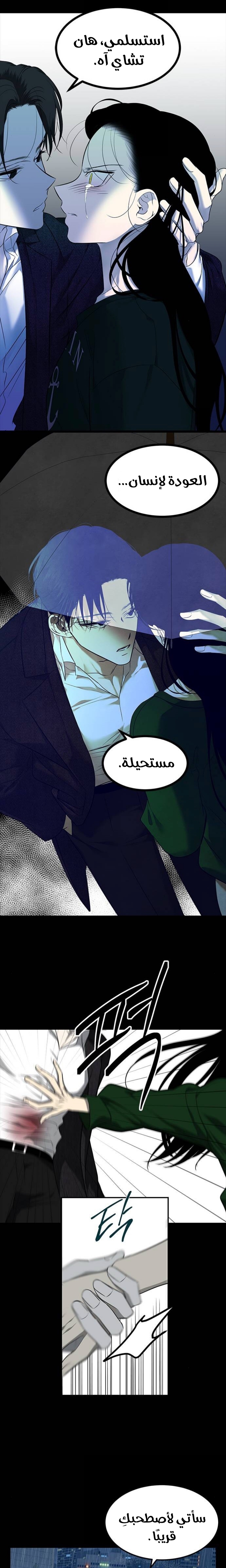 الصفحة 24
