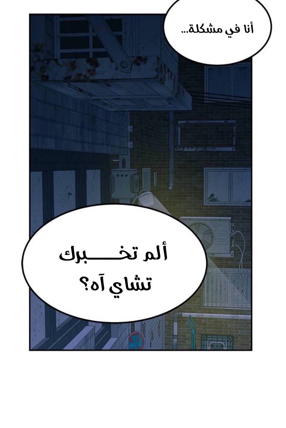 الصفحة 13