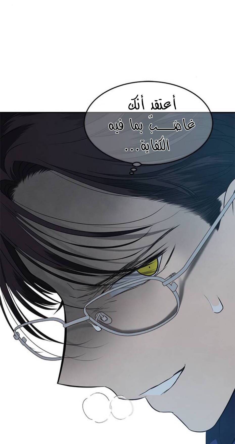 الصفحة 24