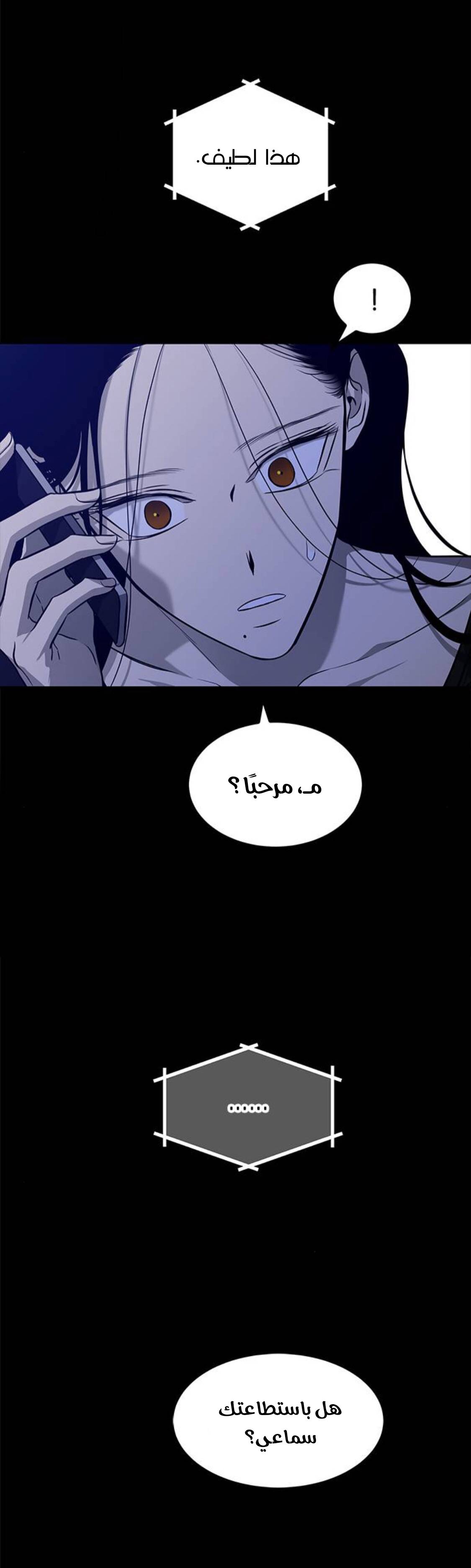 الصفحة 42