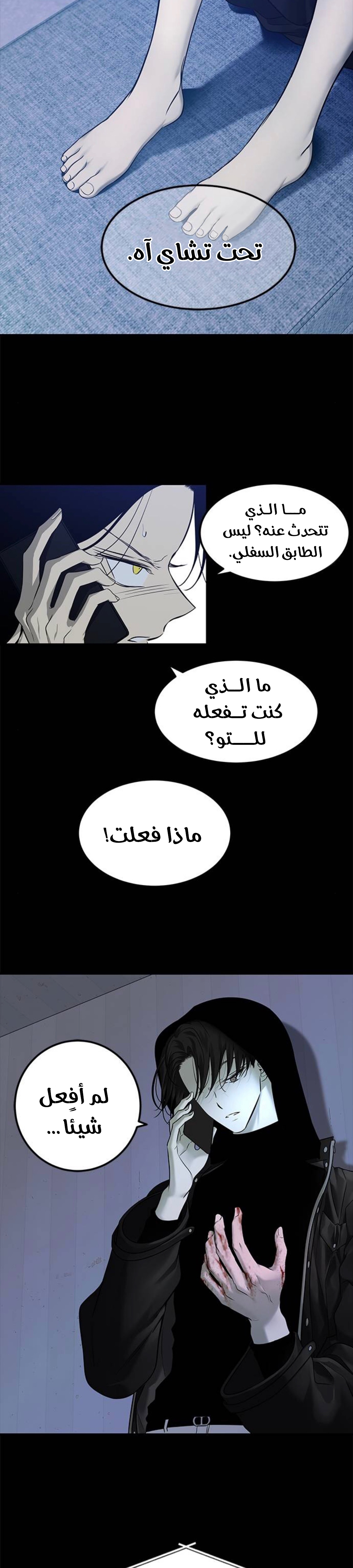 الصفحة 12