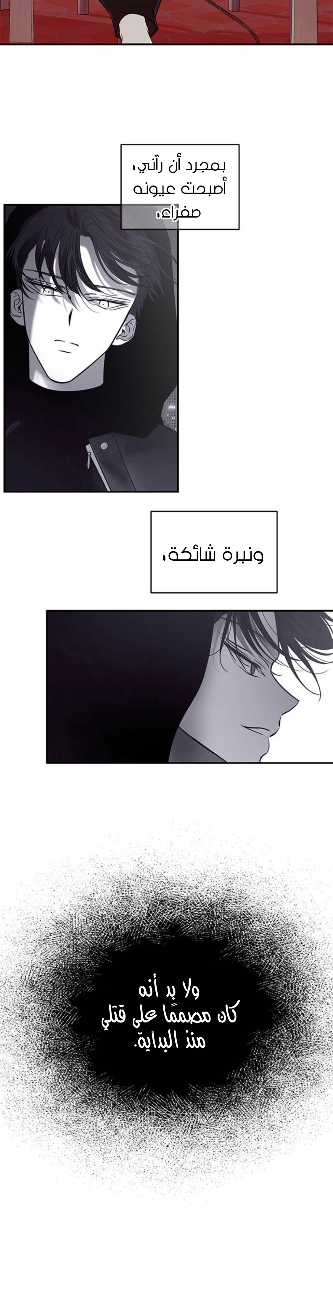 الصفحة 20