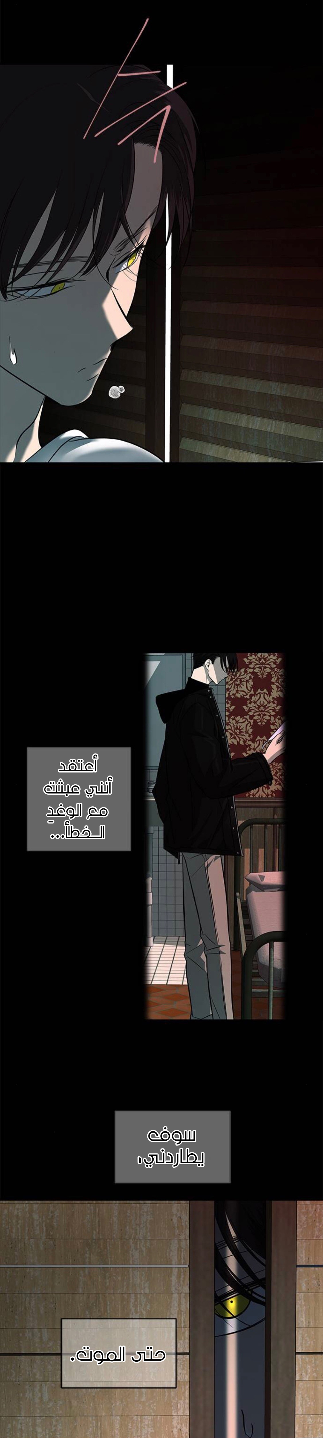 الصفحة 26
