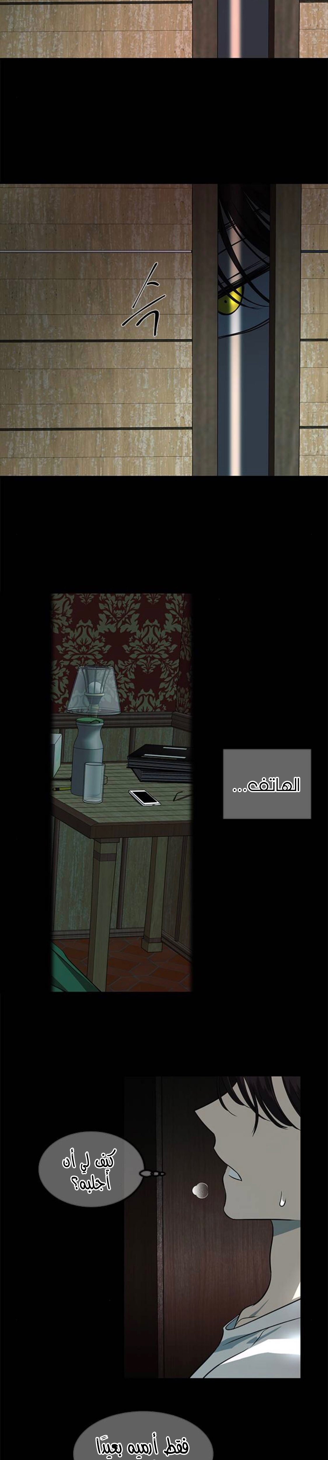 الصفحة 27