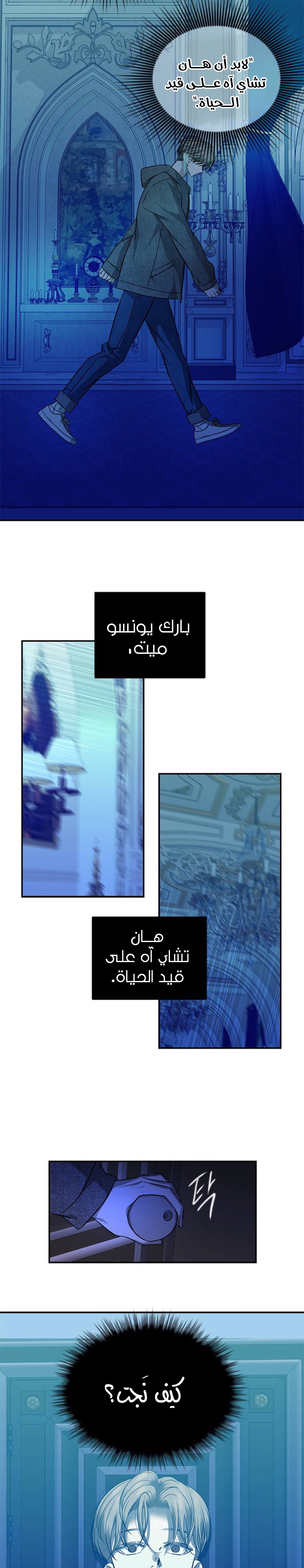 الصفحة 8