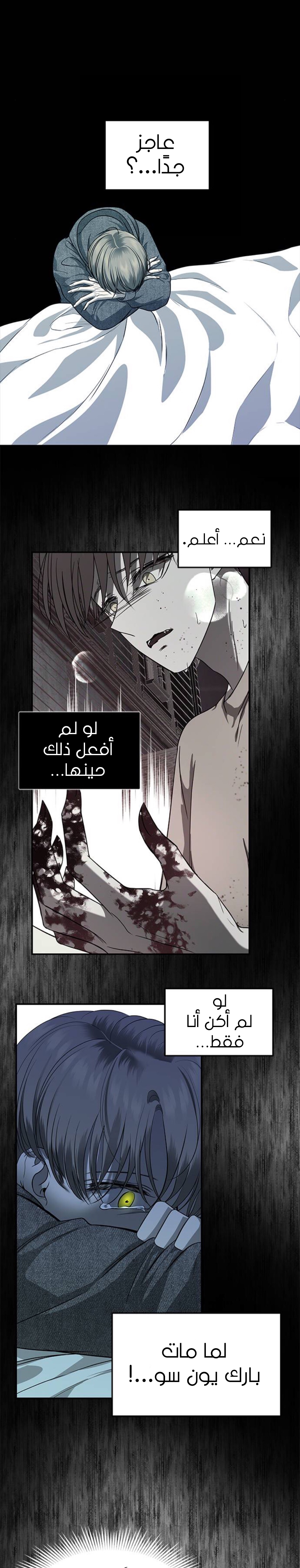 الصفحة 16
