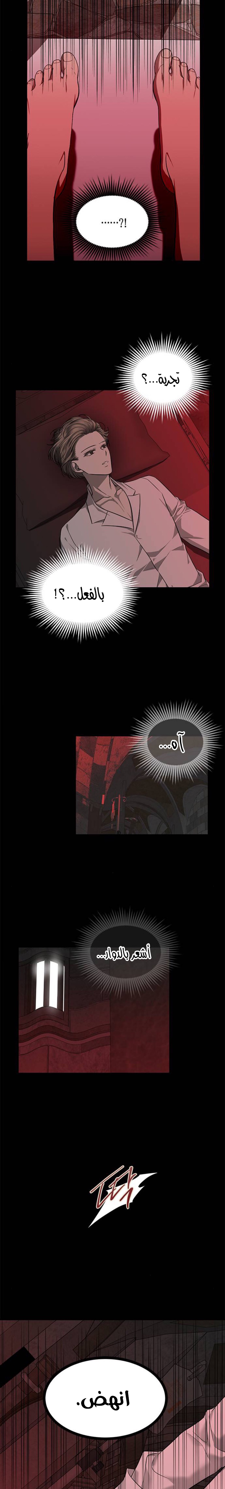الصفحة 24
