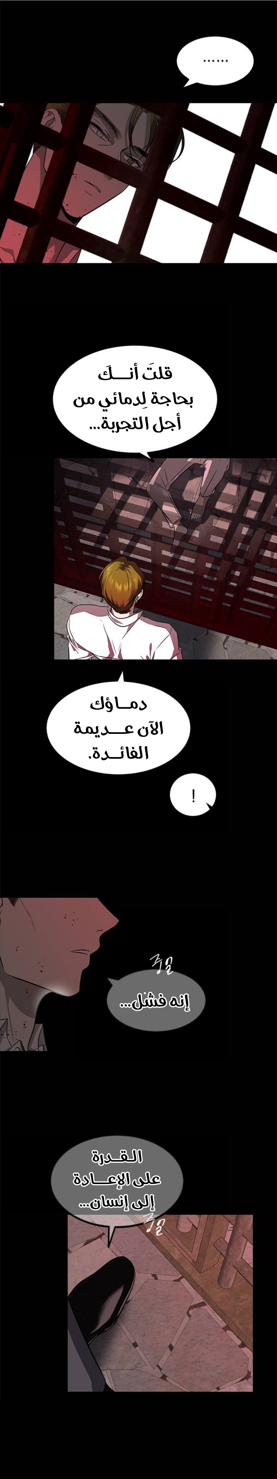 الصفحة 17