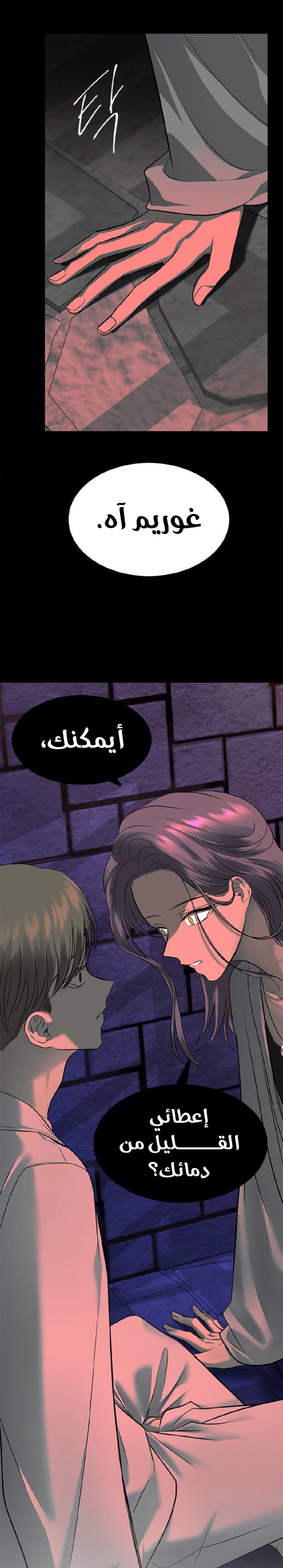 الصفحة 11