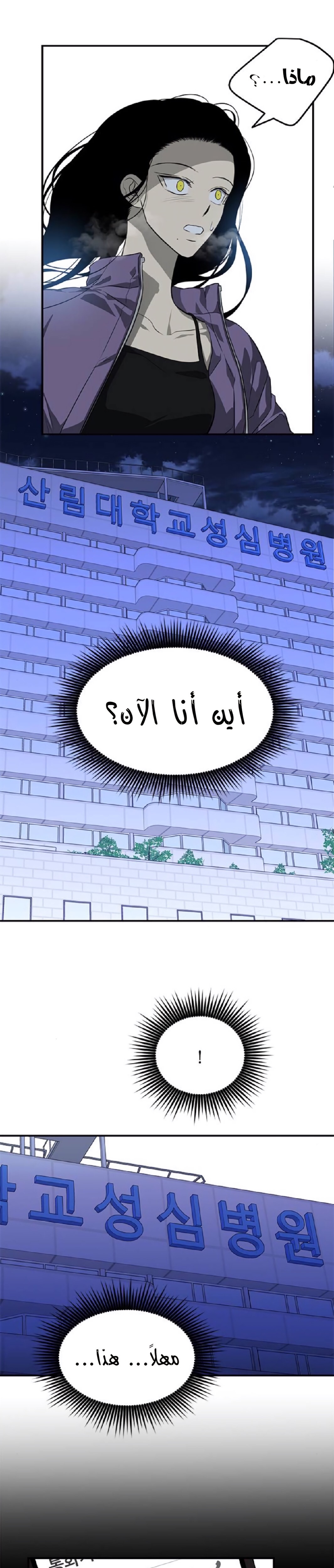 الصفحة 27
