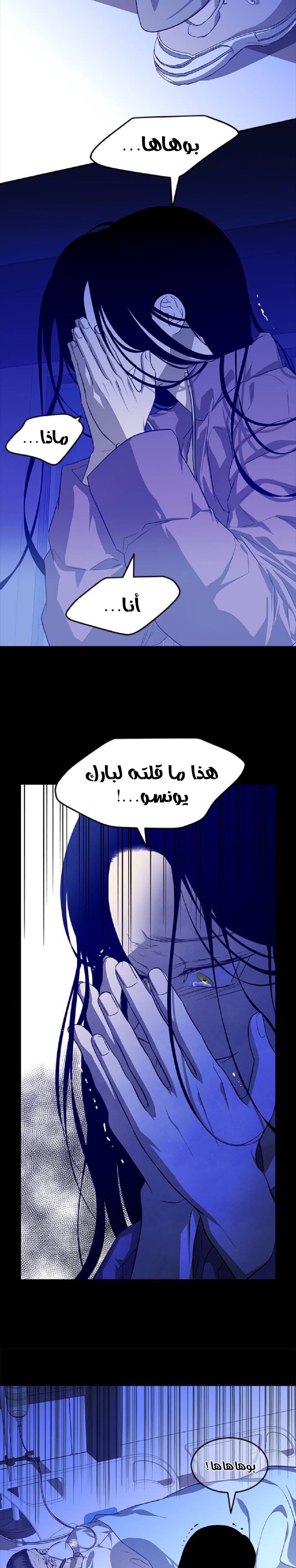 الصفحة 13