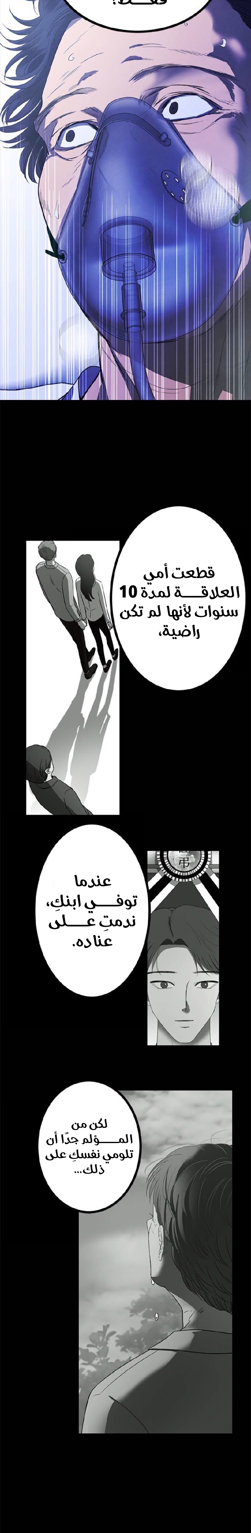الصفحة 17