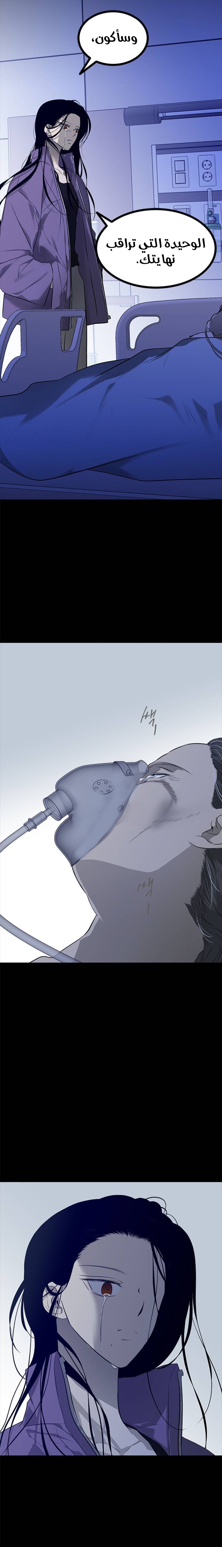 الصفحة 29