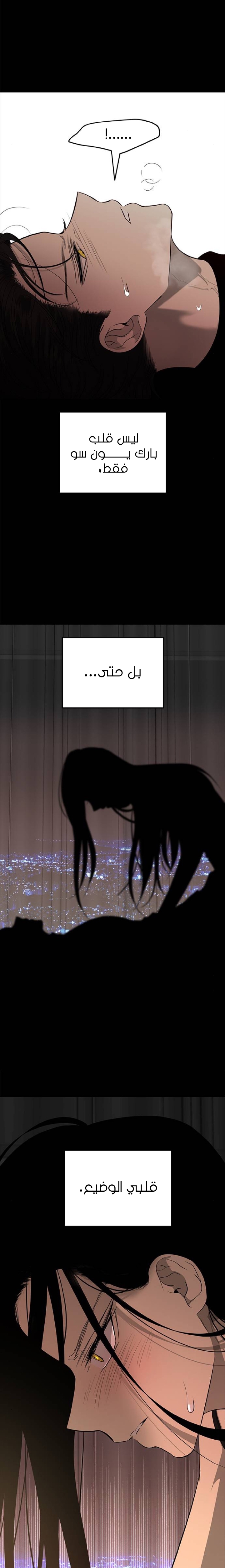 الصفحة 28