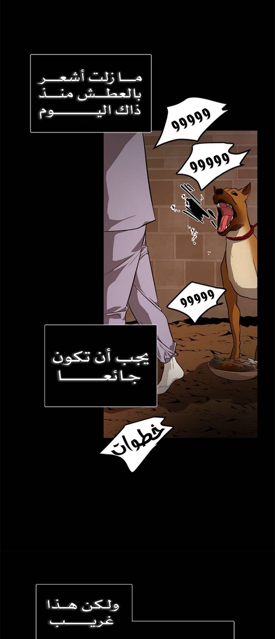 الصفحة 9