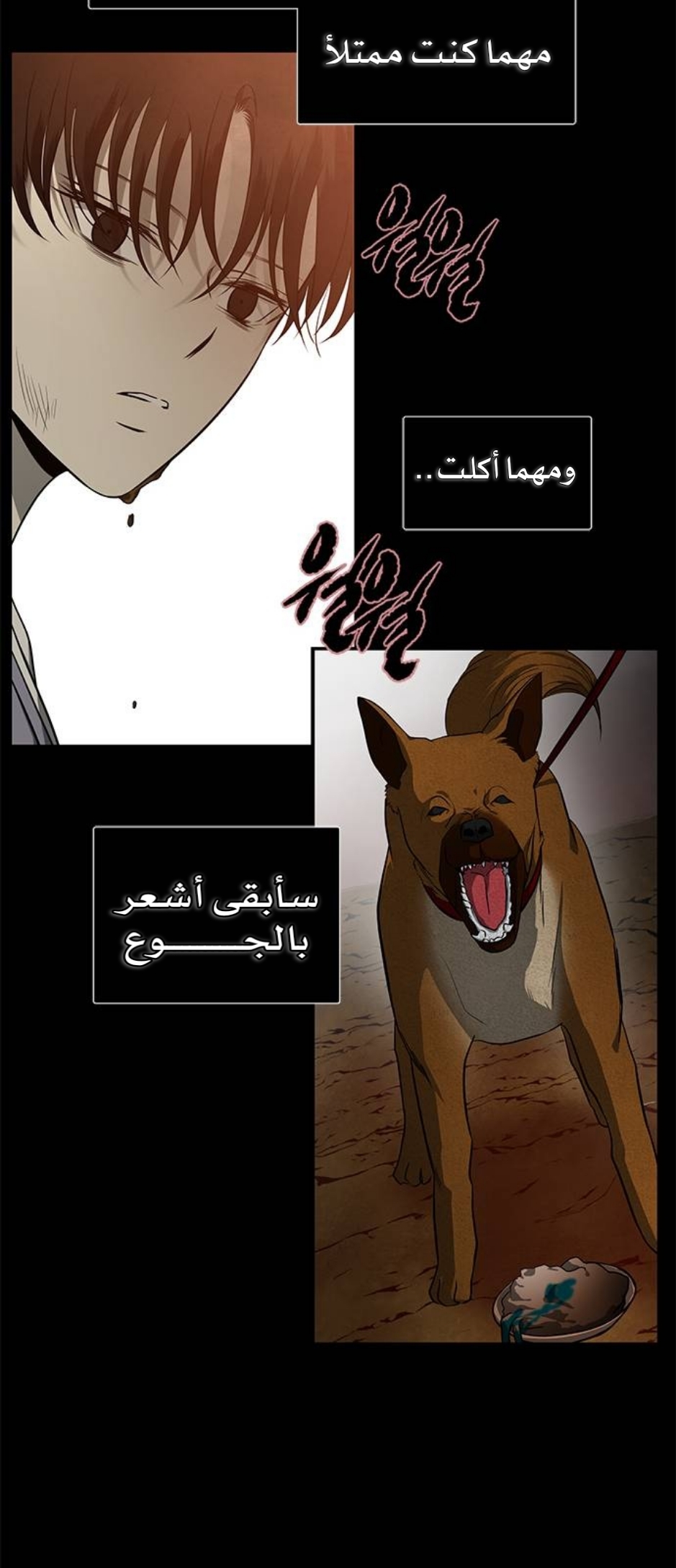 الصفحة 10