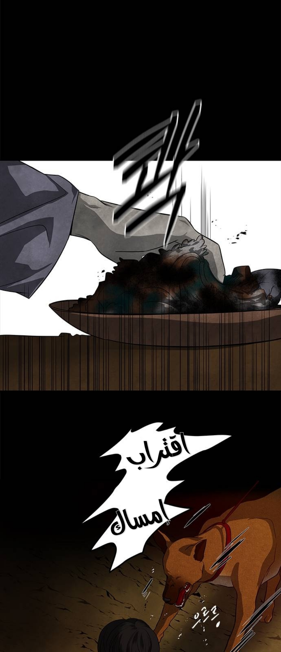 الصفحة 11