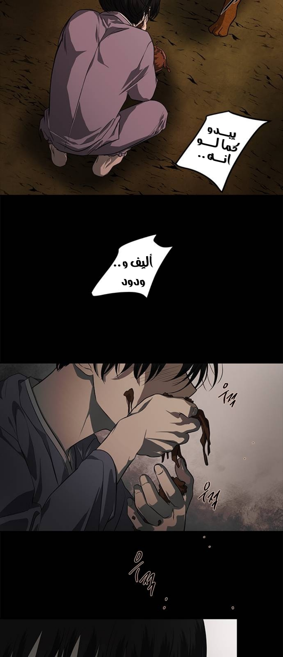 الصفحة 12
