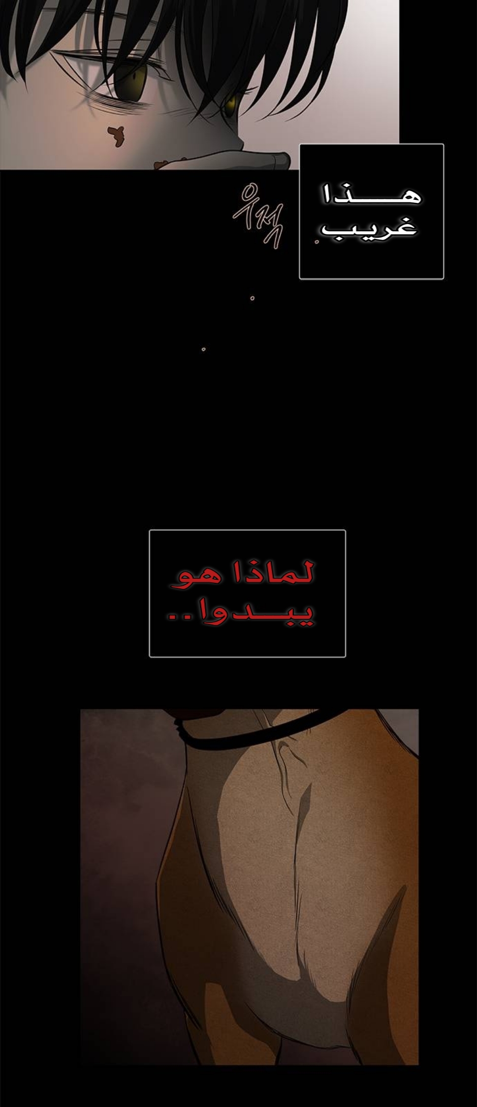الصفحة 13