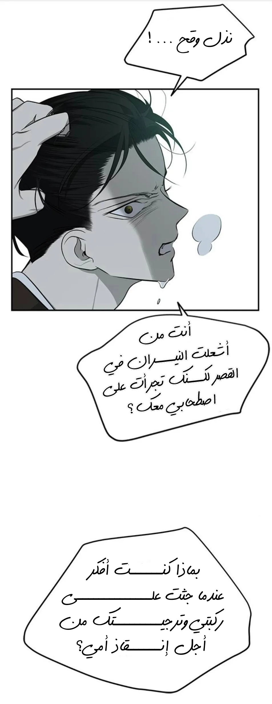 الصفحة 20
