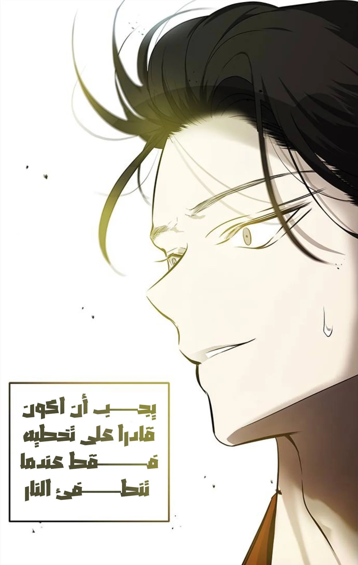 الصفحة 64